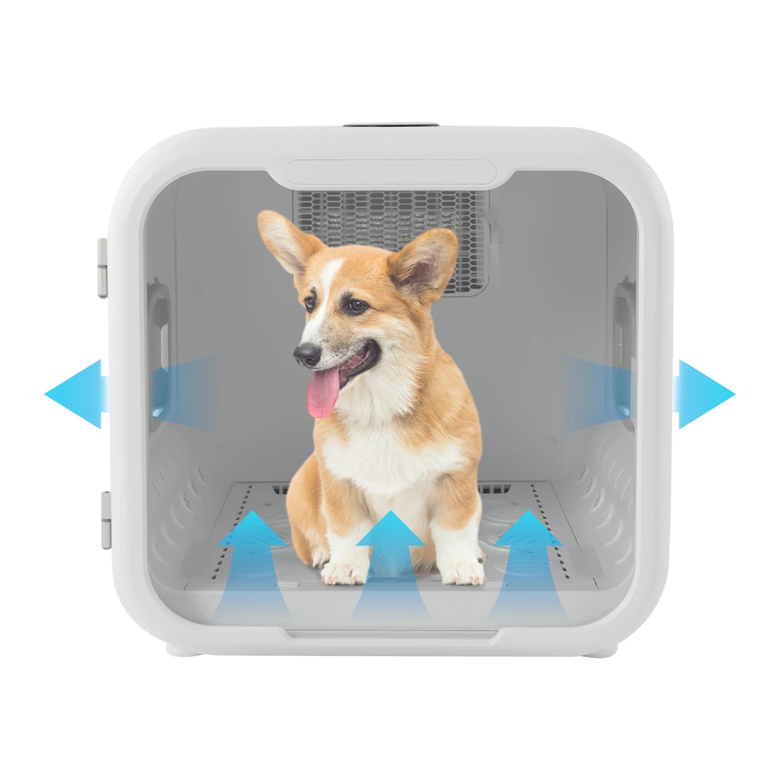 800w Fully Automatic Intelligent Pet Drying Oven, Pet Grooming Hair Dryer, Used for Drying and Disinfecting Pet Hair