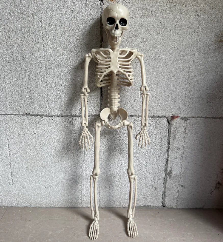 Simulation Skeleton Halloween Decoration 40/60/90/170cm Giant Skeleton Horror Decoration Home Halloween Party Skeleton Ornaments
