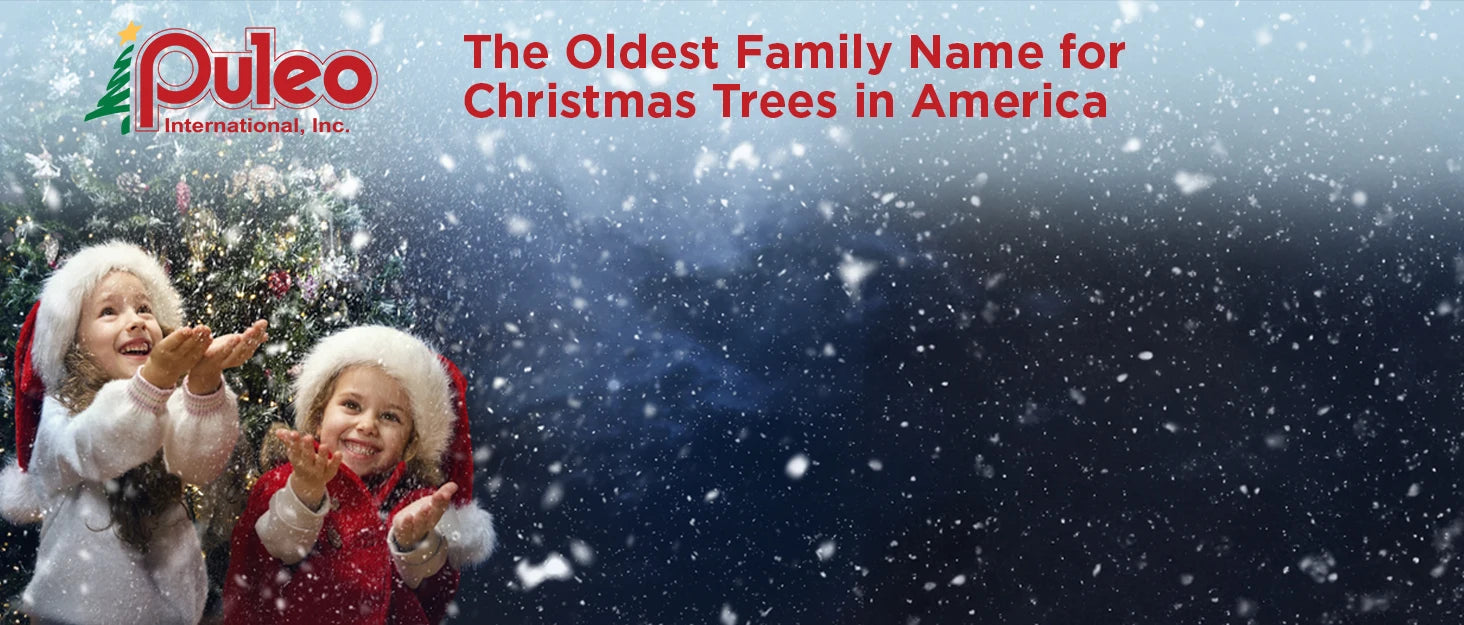 Puleo International 4.5ft Pre-Lit Potted Flocked Arctic Fir Christmas Tree with 70 Clear Lights, 419 Realistic Dense Branch Tips