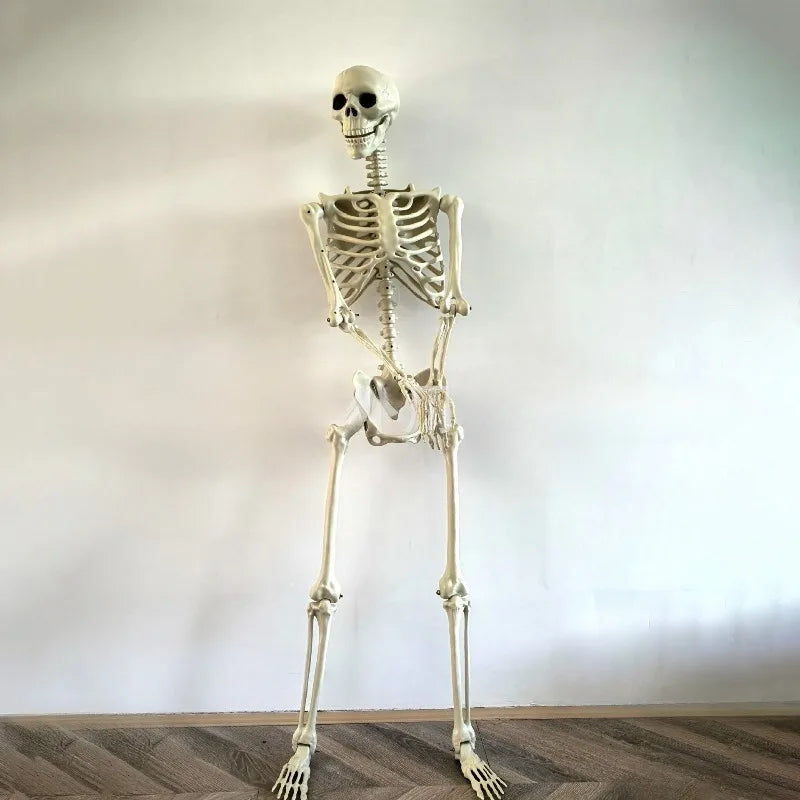Simulation Skeleton Halloween Decoration 40/60/90/170cm Giant Skeleton Horror Decoration Home Halloween Party Skeleton Ornaments
