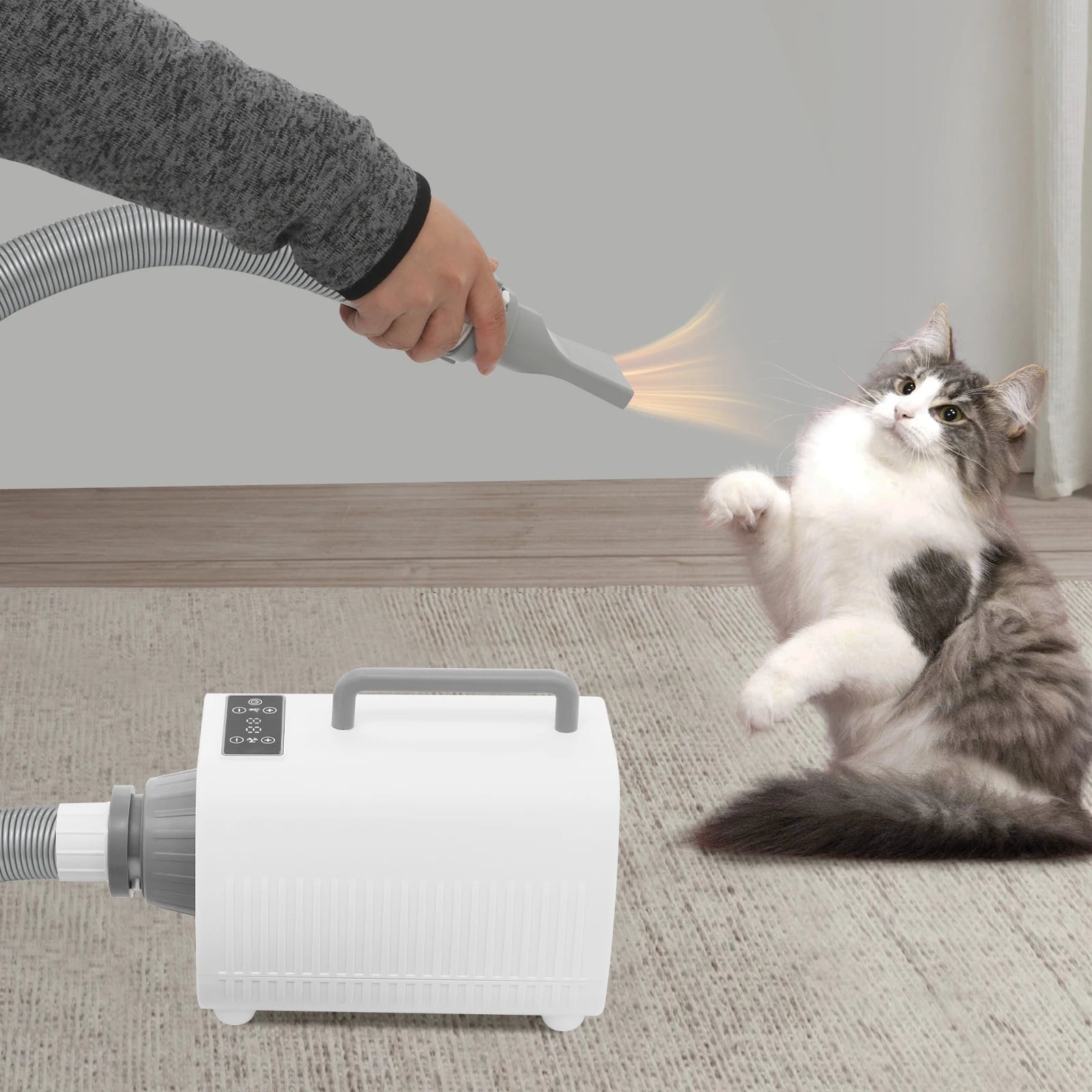 Professional Pet Hair Dryer for Dogs & Cats, 2100W High-Speed Blower, Adjustable Temp & 9 Speed Settings, with LED Display